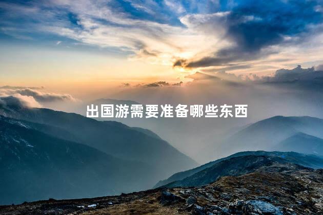 出国游需要准备哪些东西
